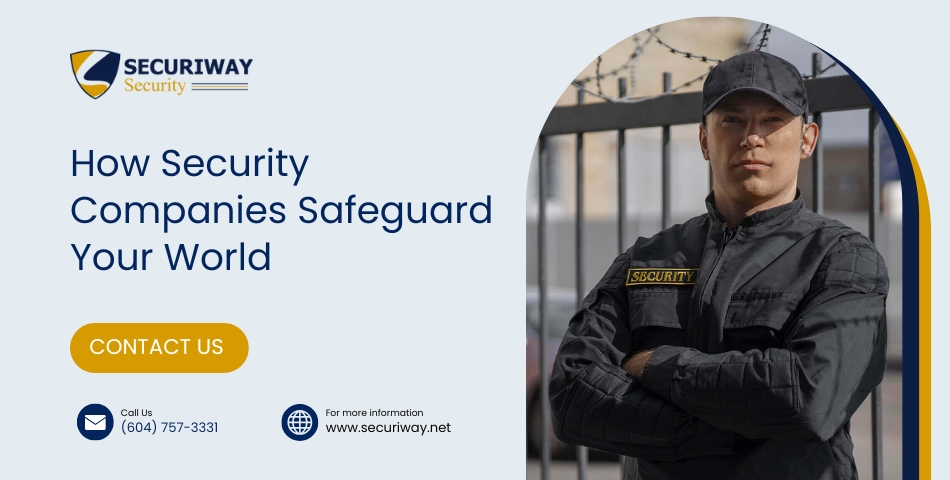 Businesses And Individuals Need Security Companies