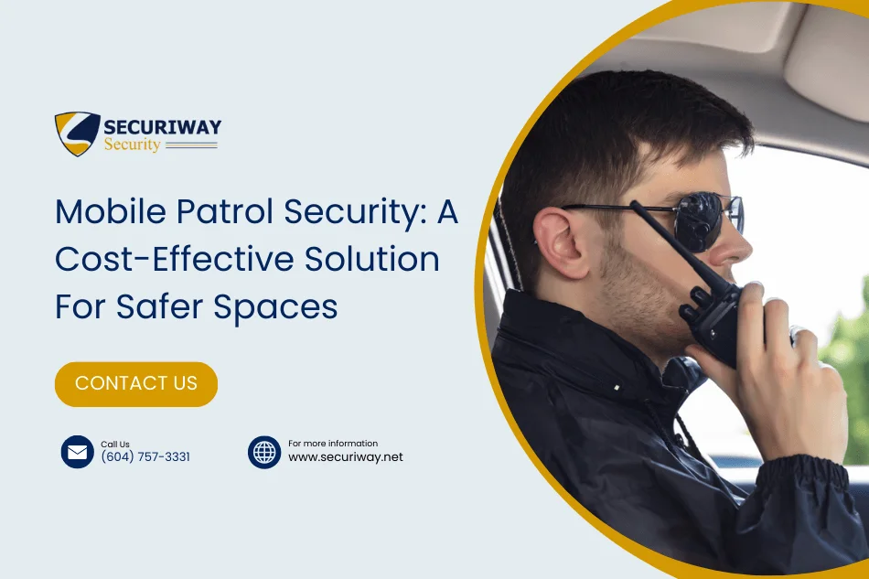 Cost-Effective Security Solution